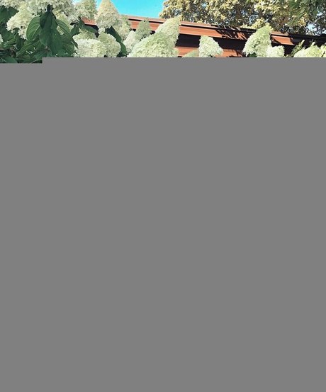 Kaylee S top pornstar picture