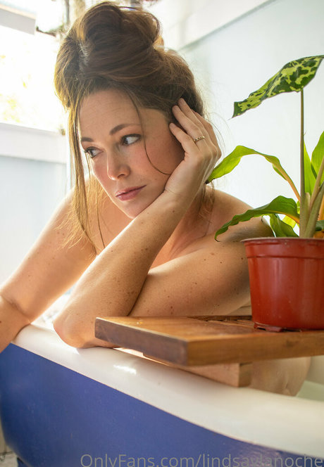 Lindsay Geektron pornstar art archive