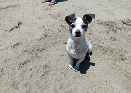 sneakykirby sex pornstar picture