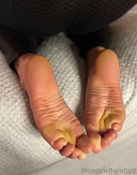 meadowbarefoot perfect model gallery