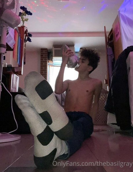 basilgray high quality star galleries