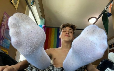 basilgray free star photo