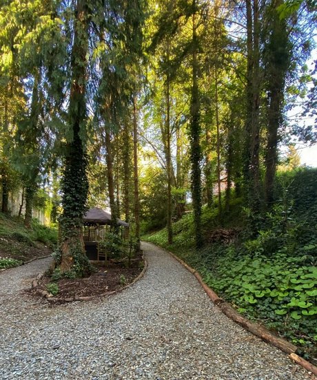 Anah Elisa pornstar beautiful image