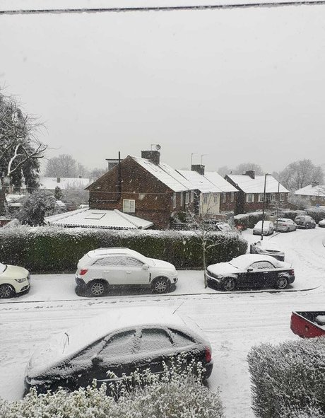 sillytilly nudes pornstar picture