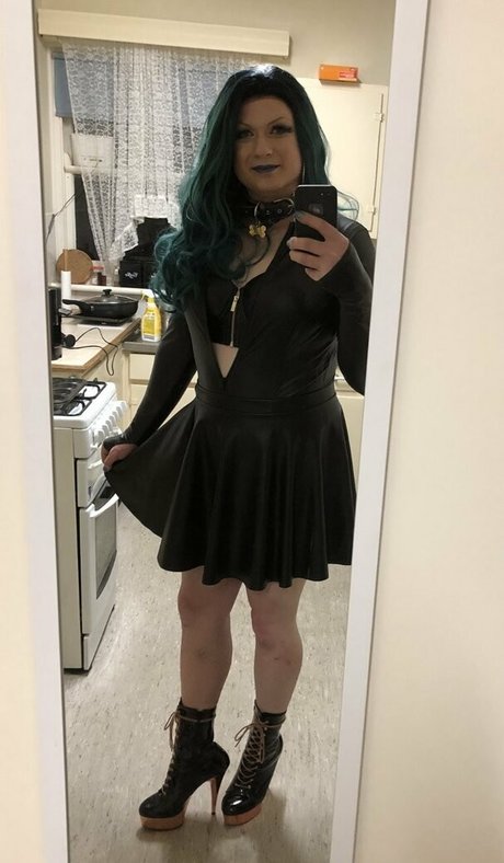 lexipuppy star adult image