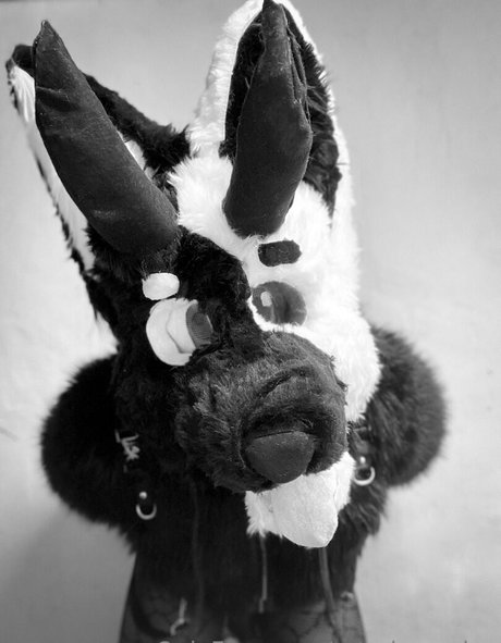 ratedrcosplay xxx pornstar gallery