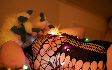 furry foxxy Profile pic