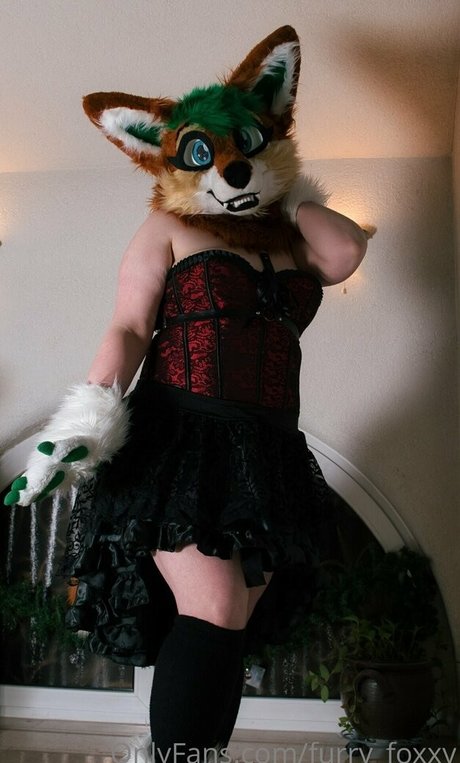 furry foxxy star pretty archive