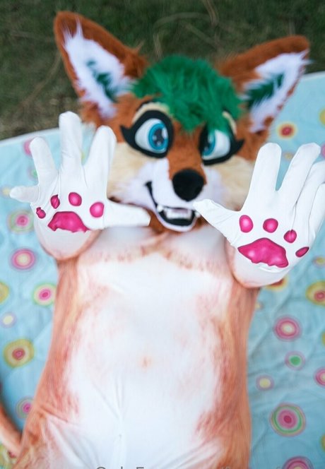 furry foxxy star art pics