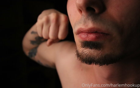 harlemhookup star best picture