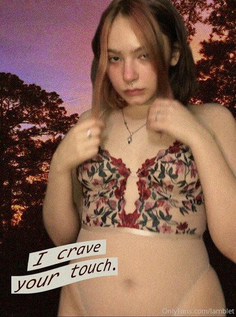 lamblet star adult images