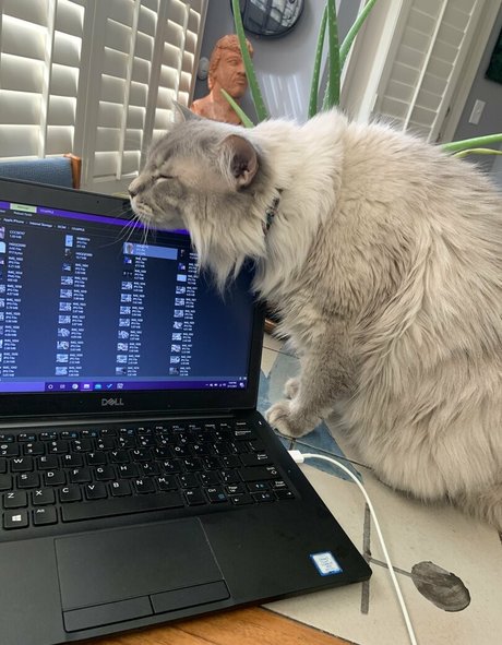 mistygates pornstar naked archive