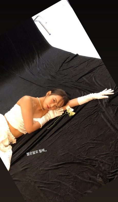 Yunjinpet high quality model pics