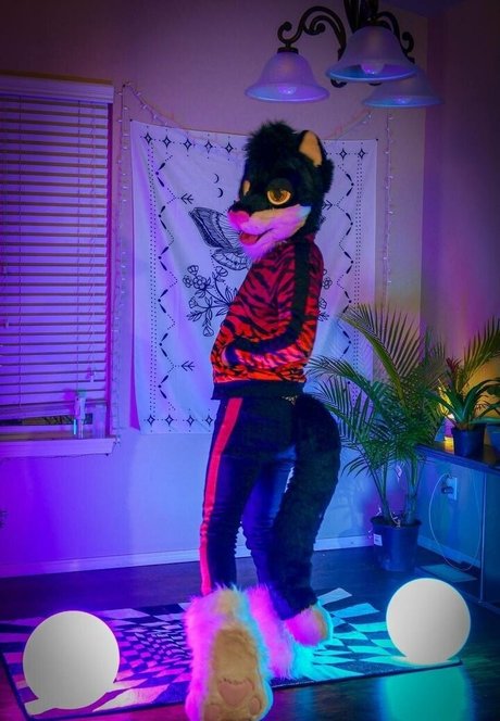 yiffykitty xxx actress archive