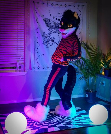 yiffykitty star hot galleries