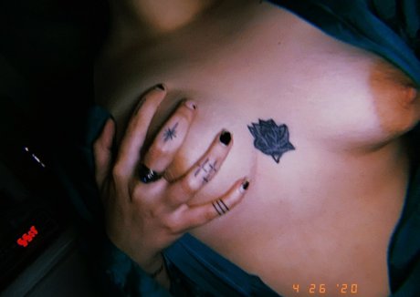 catandbean xxx actress archive