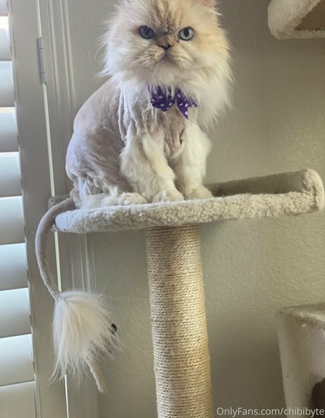 chibibyte star erotic images