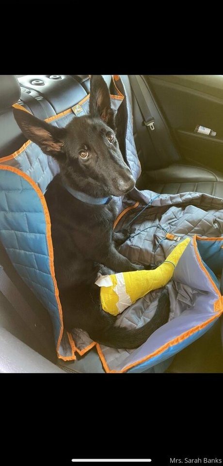 thesarahbnkx sex star gallery