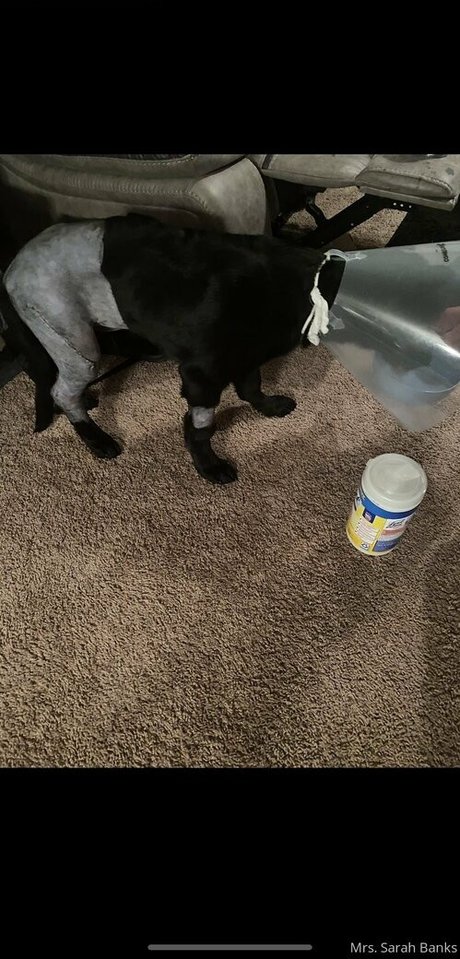 thesarahbnkx star beautiful pictures