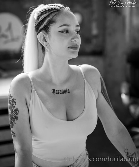 hulilablunt star art photos