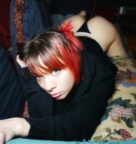 Ari cakes Quick model image