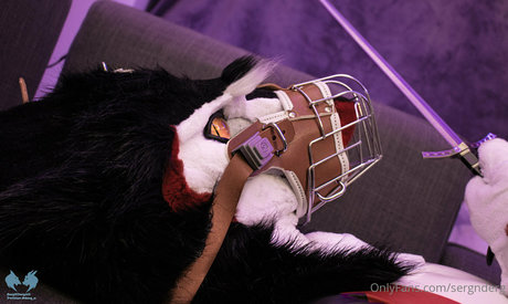 sergnderg xxx pornstar images