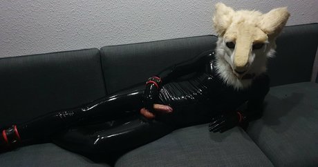 sergnderg high quality star photo