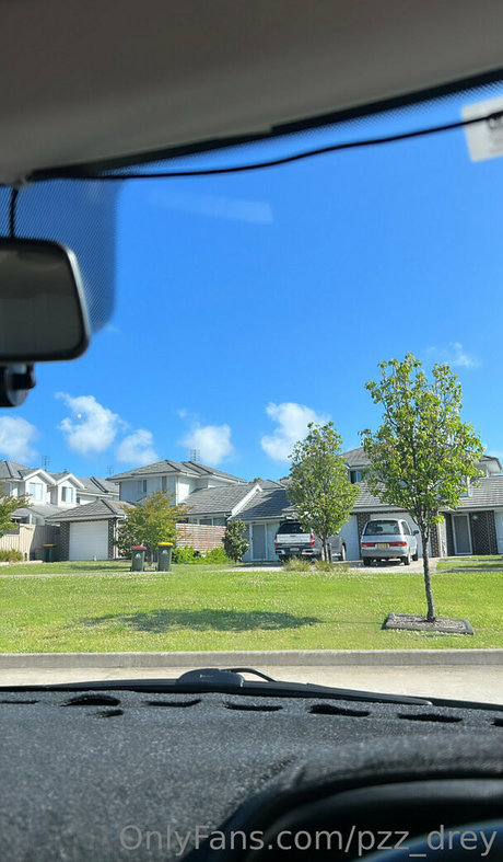 pzz drey xxx actress pics