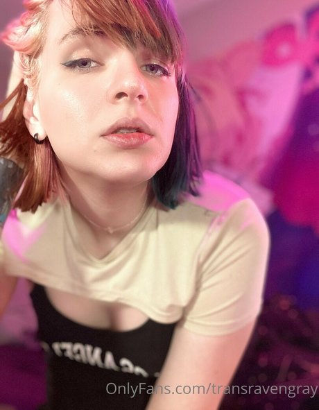 transravengray Profile pic