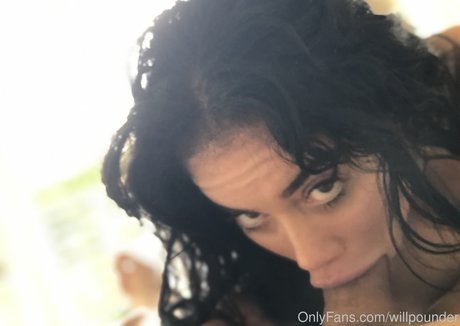 willpounder pornstar img