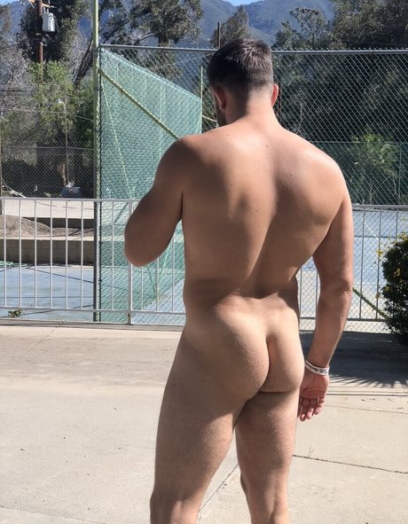 willpounder perfect star image