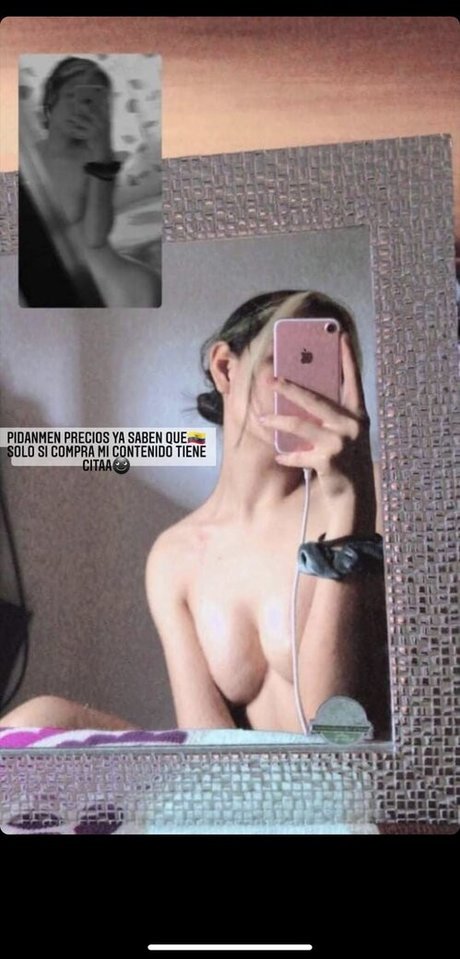 Cmp Perla model art pic