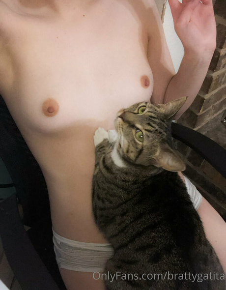 brattygatita art star gallery