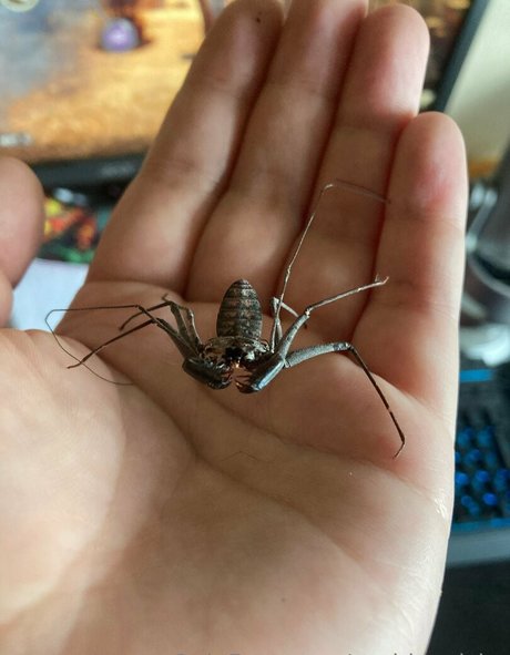 big ass pussy onlyfans free pics