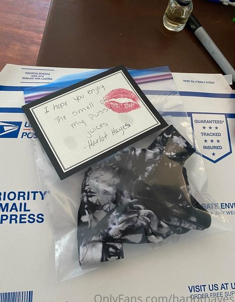 harlothayes nude pornstar img