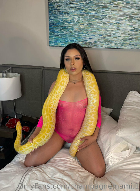 champagnemami 1 erotic pornstar archive