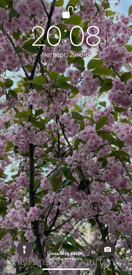 tenderalise beautiful model image