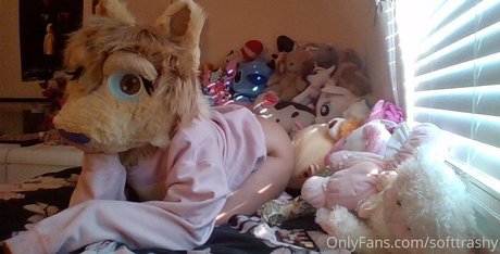 softtrashy Profile pic