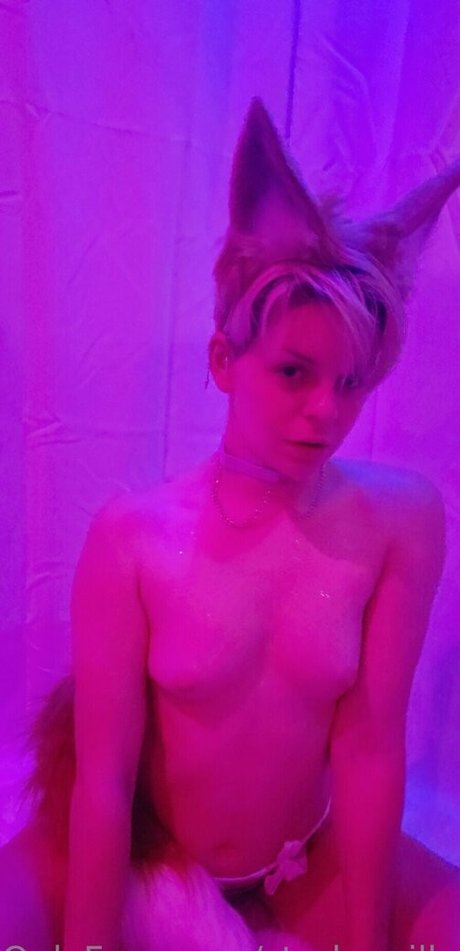 starkzzzilla star free photos