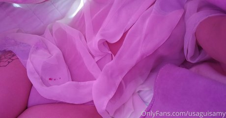 usaguisamy model art image