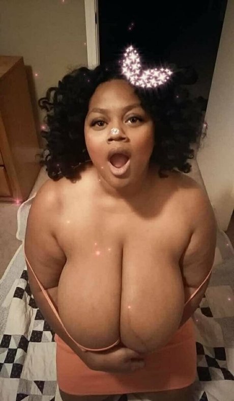 shaneii best model gallery