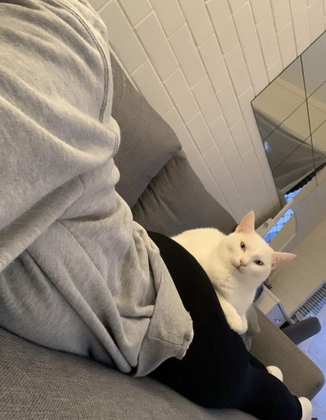 boobsandthings pornstar beautiful pic