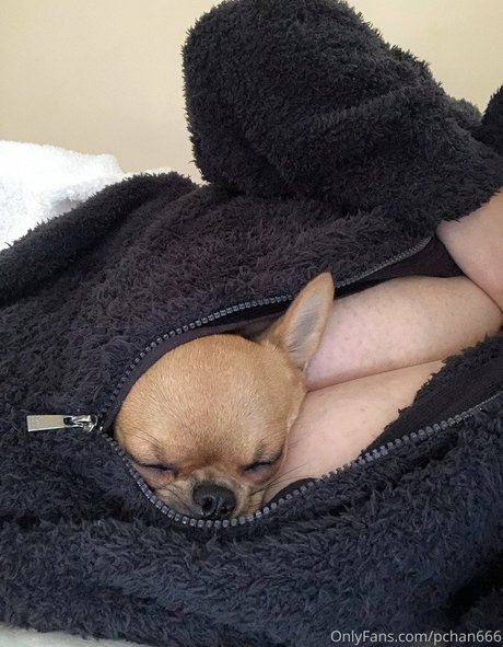 Pchan 666 nude actress picture