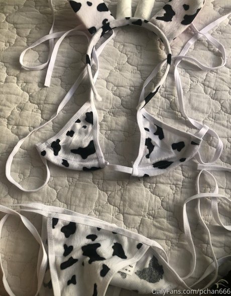 Pchan 666 pornstar beautiful gallery