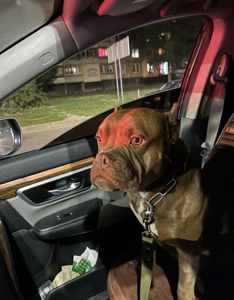 son onlyfans beautiful images