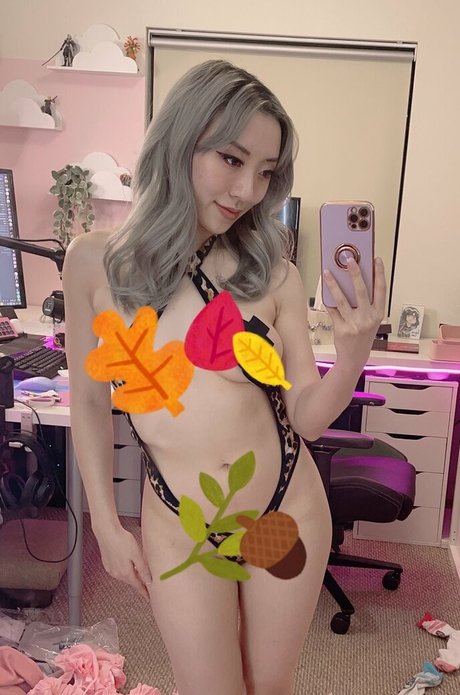 Stellewds free pornstar image