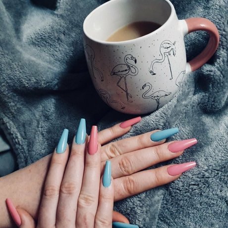 free of model free model pic