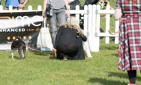 Meg Matthews naked actress images