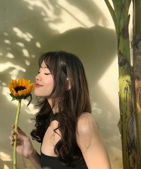 tripppollen star beautiful pictures