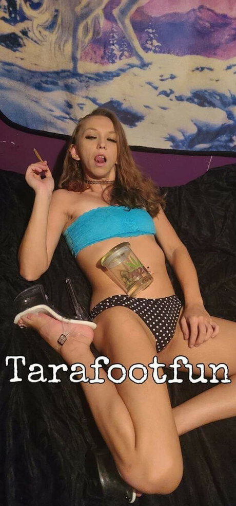 Tarafootfun art star gallery